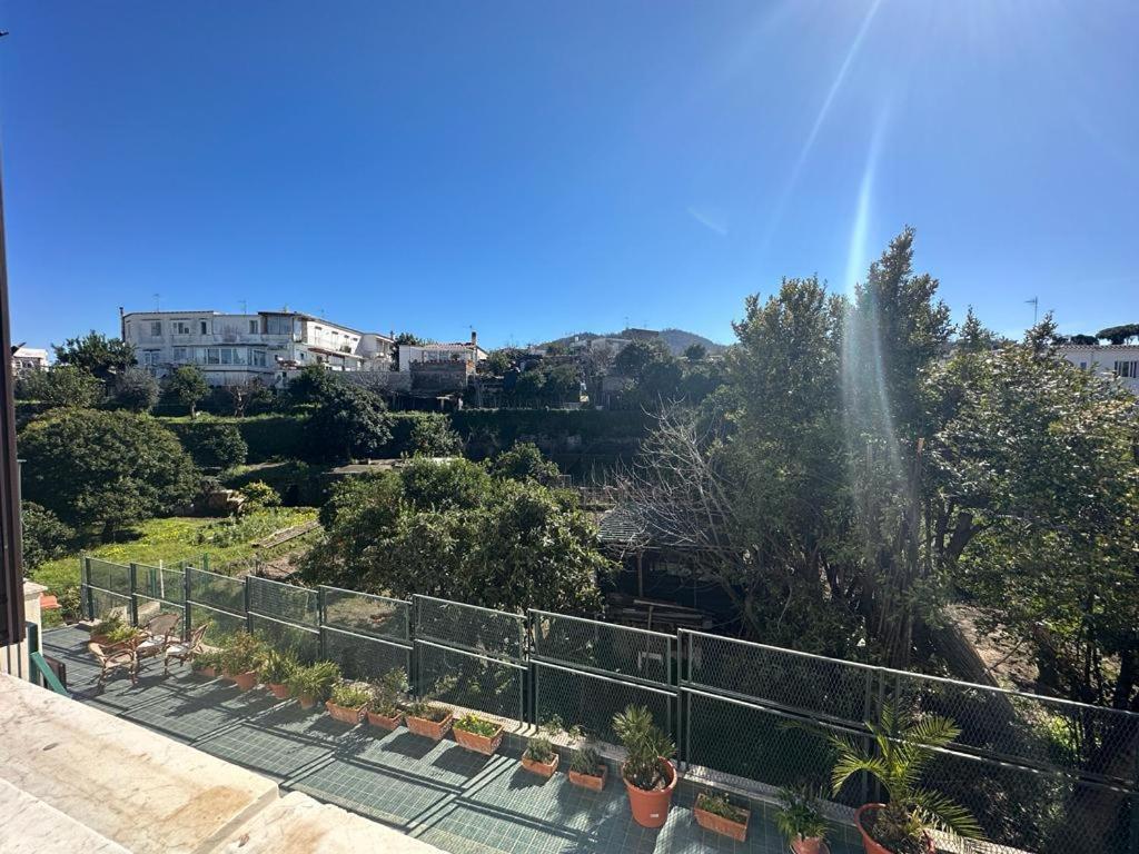 Villa Dei Sogni - Aparthotel Ischia Ponte エクステリア 写真